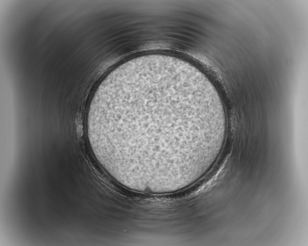 X0000096440929200802141449