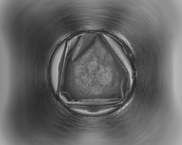 X0000096440930200802141449