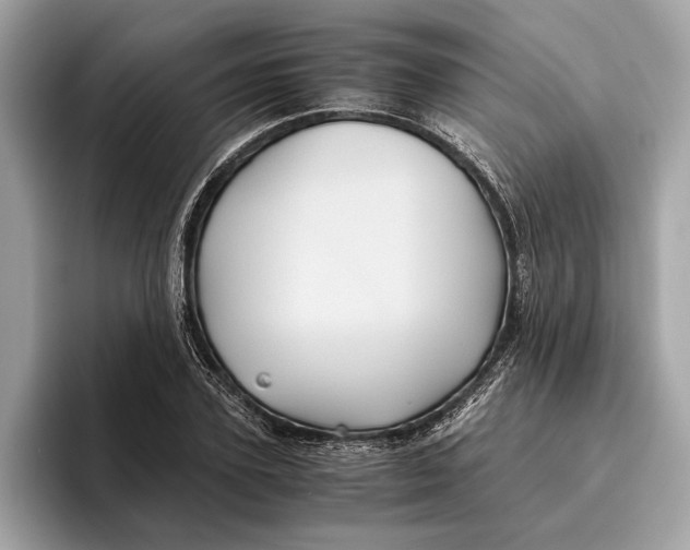 X0000096440931200802141449