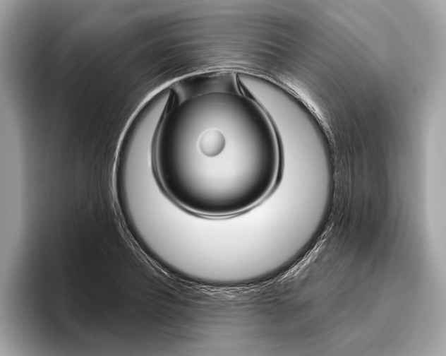 X0000096440932200802141449