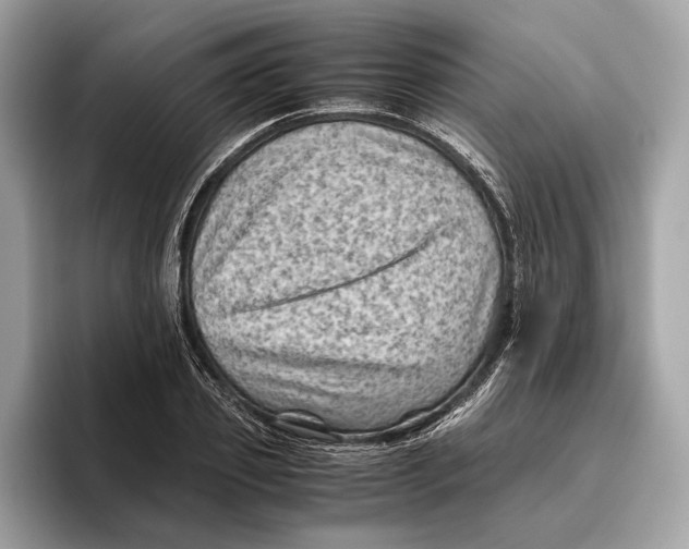 X0000096440933200802141449