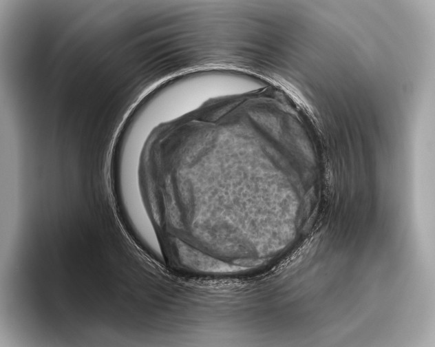 X0000096440934200802141449