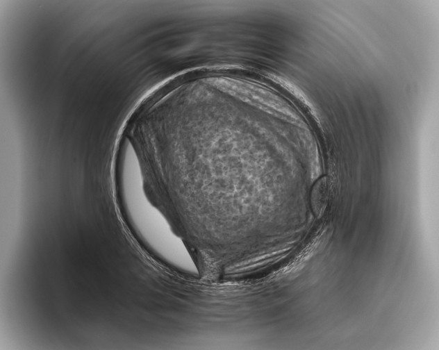 X0000096440935200802141449