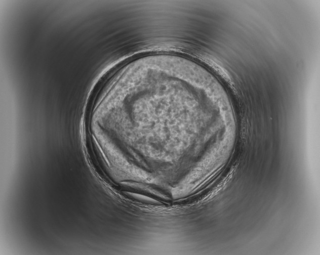 X0000096440936200802141449