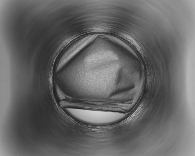 X0000096440938200802141449