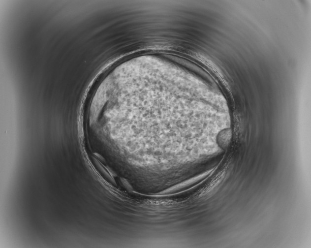 X0000096440939200802141449