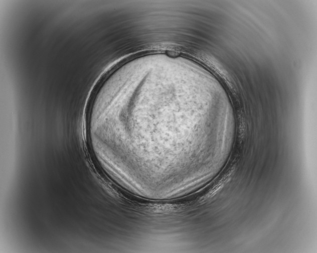 X0000096440940200802141449