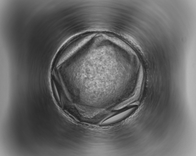 X0000096440942200802141449