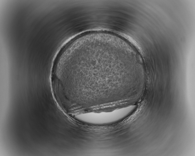 X0000096440943200802141449