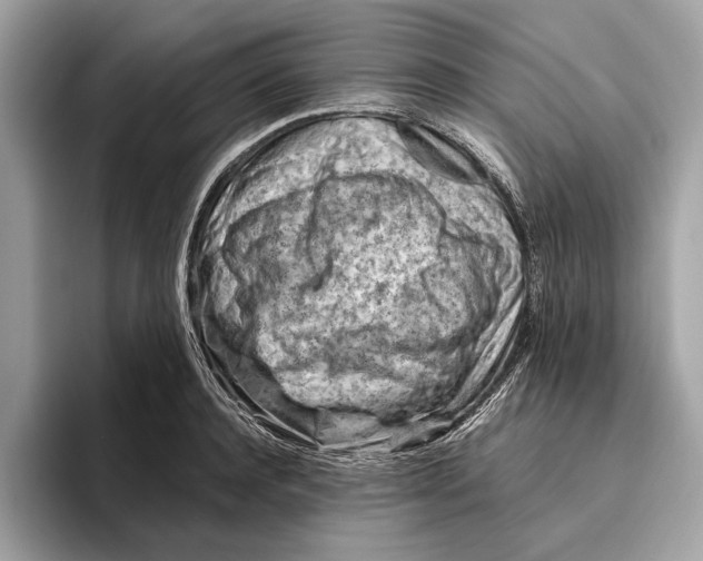 X0000096440944200802141449