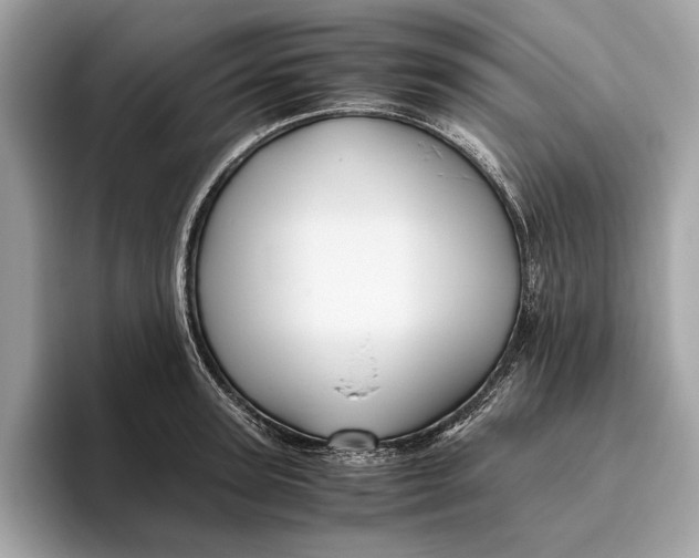 X0000096440947200802141449