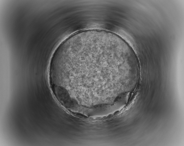 X0000096440949200802141449