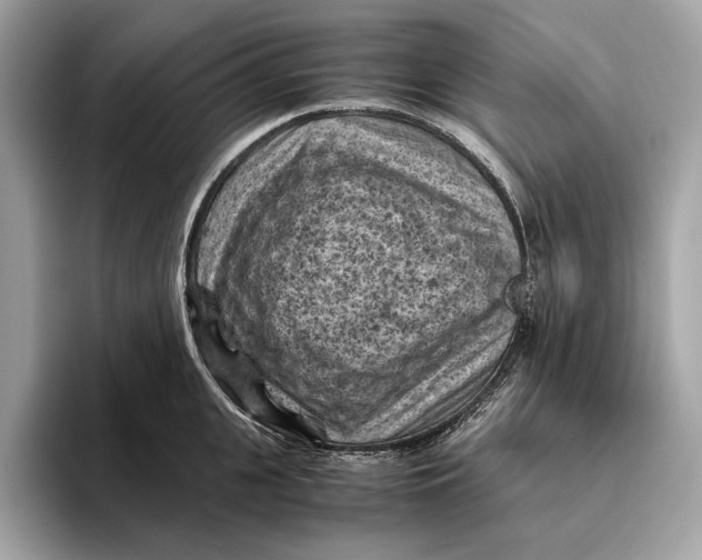 X0000096440951200802141449