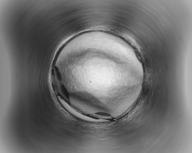 X0000096440952200802141449