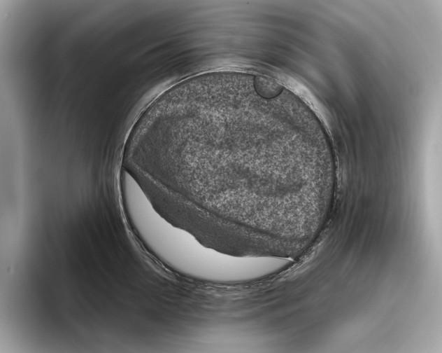 X0000096440954200802141449