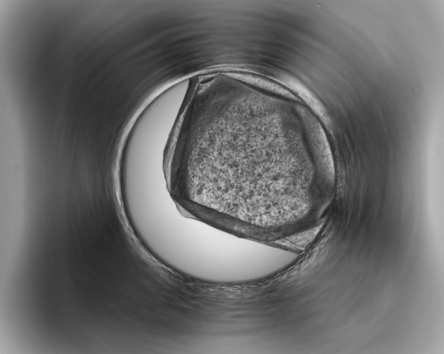 X0000096440955200802141449