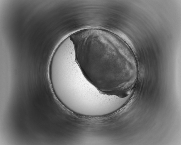 X0000096440958200802141449