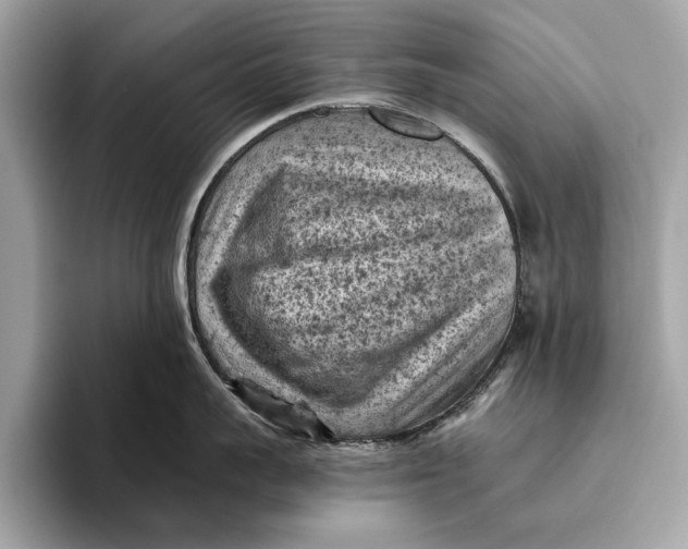 X0000096440959200802141449