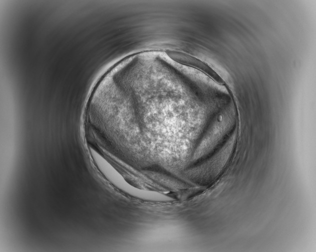 X0000096440960200802141449