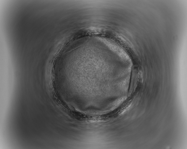 X0000096440961200802141448