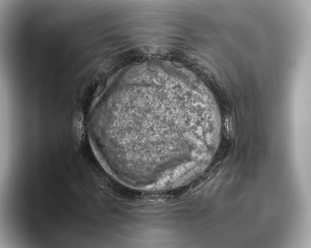 X0000096440963200802141448