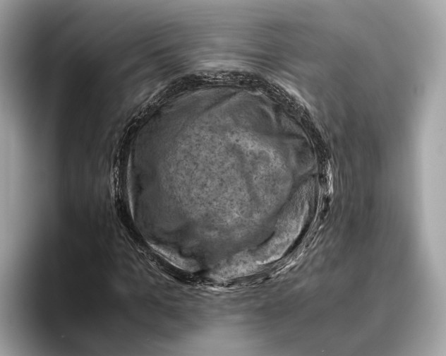 X0000096440965200802141448