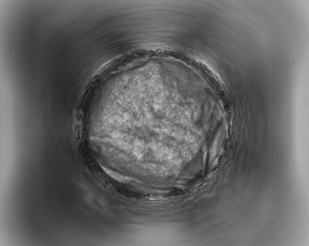 X0000096440968200802141448