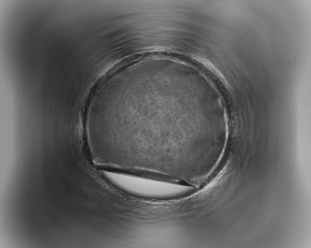 X0000096440969200802141448