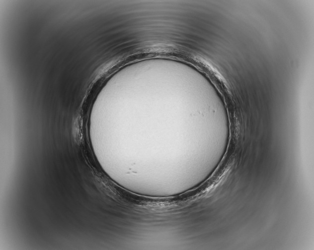 X0000096440970200802141448