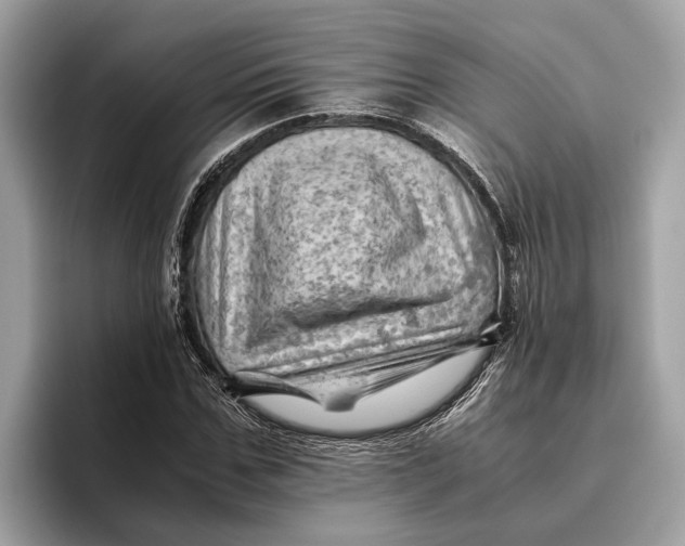 X0000096440971200802141448