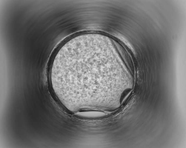 X0000096440972200802141448