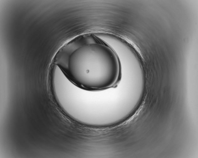 X0000096440973200802141448