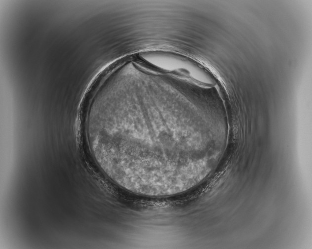 X0000096440975200802141448