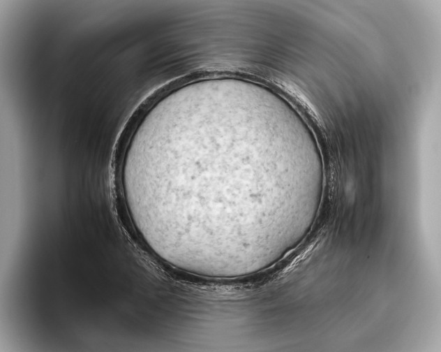 X0000096440976200802141448