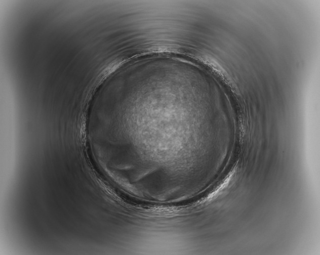 X0000096440977200802141448