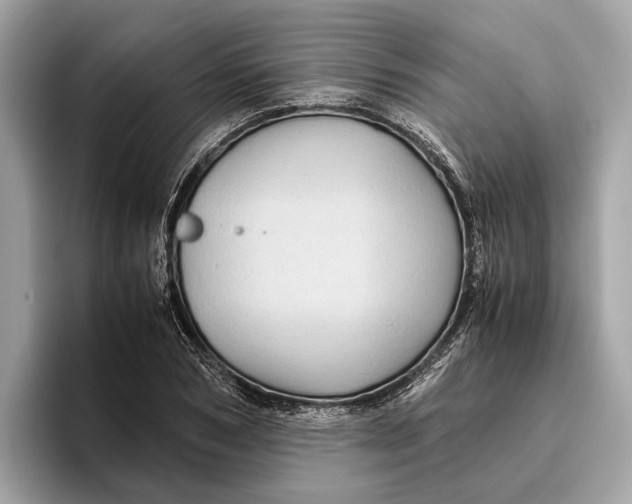 X0000096440978200802141448