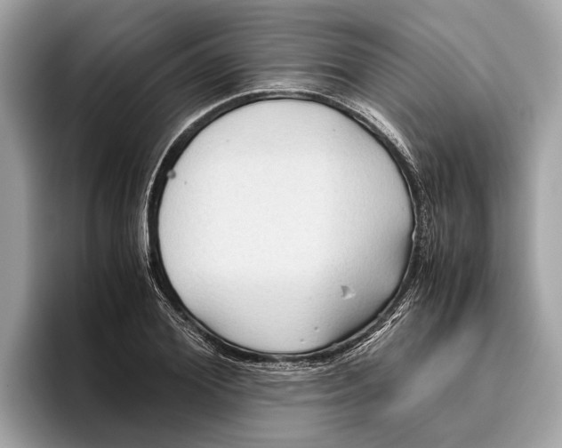 X0000096440980200802141448