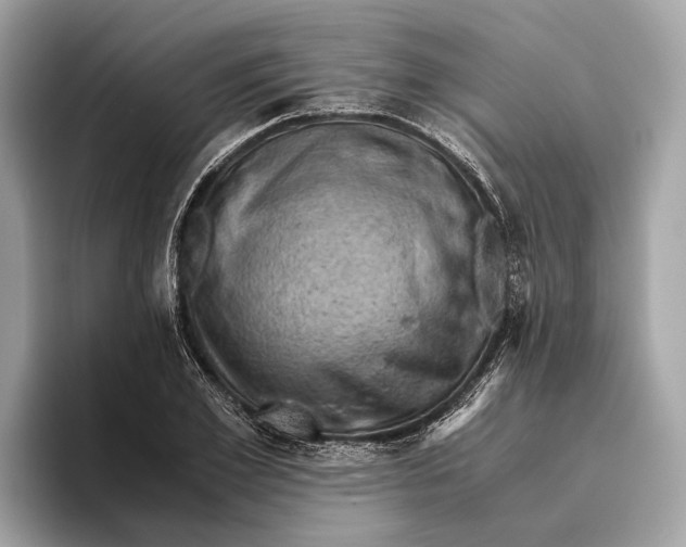 X0000096440981200802141448