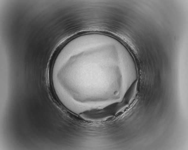 X0000096440982200802141448