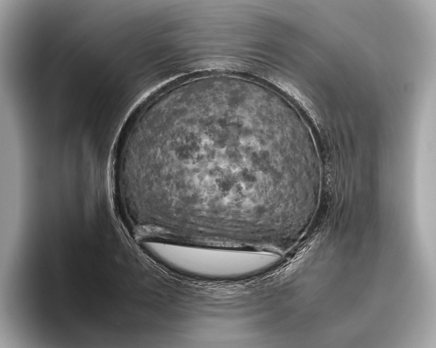 X0000096440983200802141448