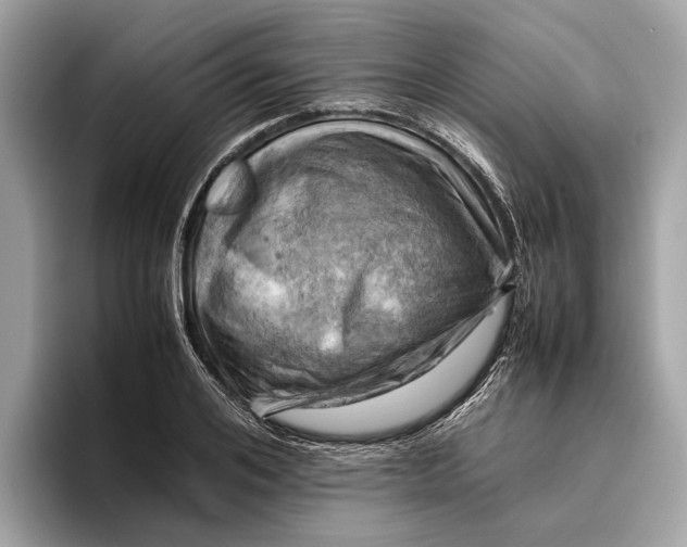 X0000096440984200802141448