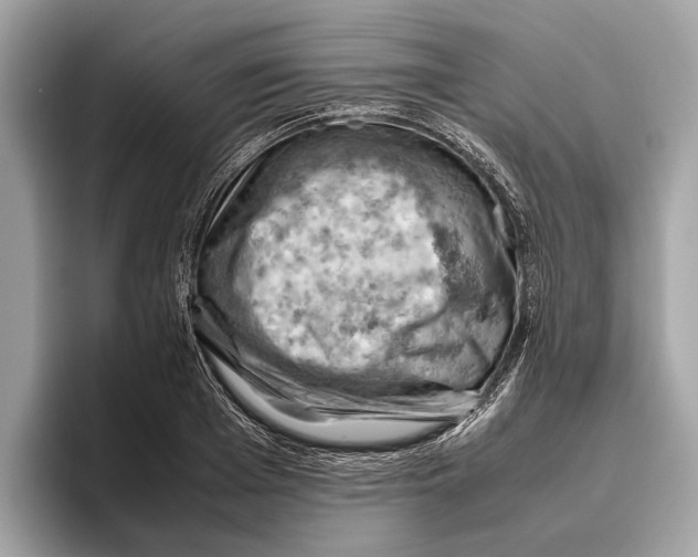 X0000096440985200802141448