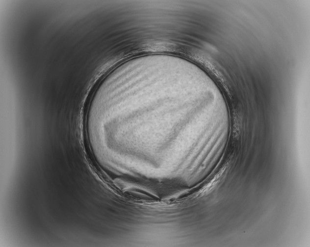 X0000096440986200802141448