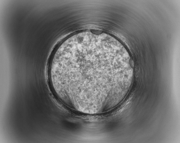 X0000096440987200802141448