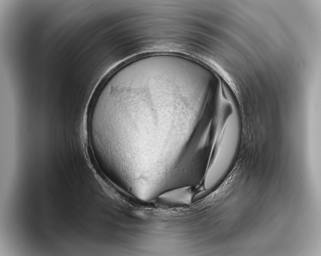 X0000096440988200802141448