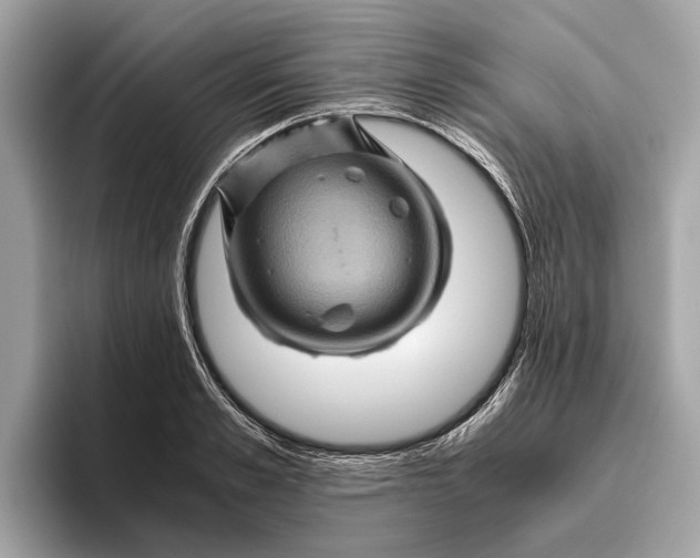 X0000096440989200802141448