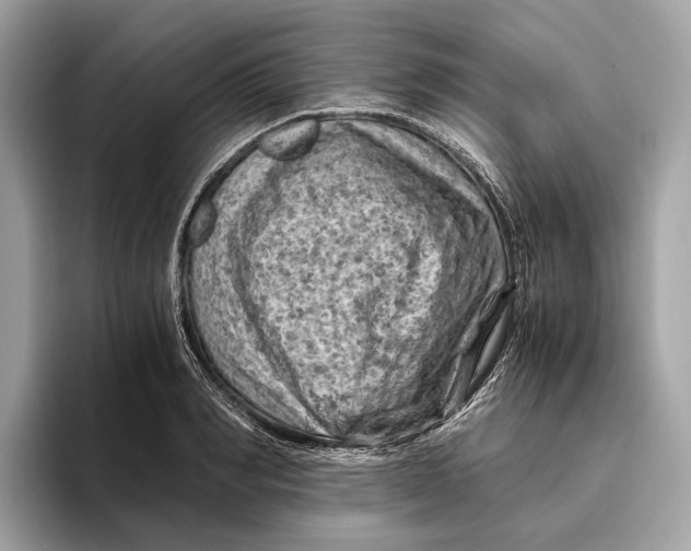 X0000096440990200802141448