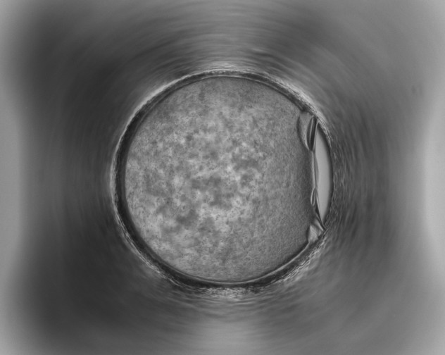 X0000096440991200802141448