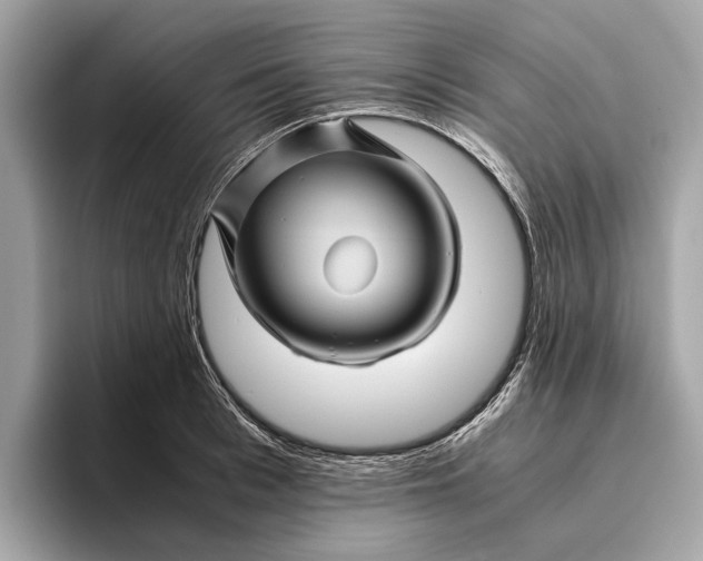 X0000096440993200802141448