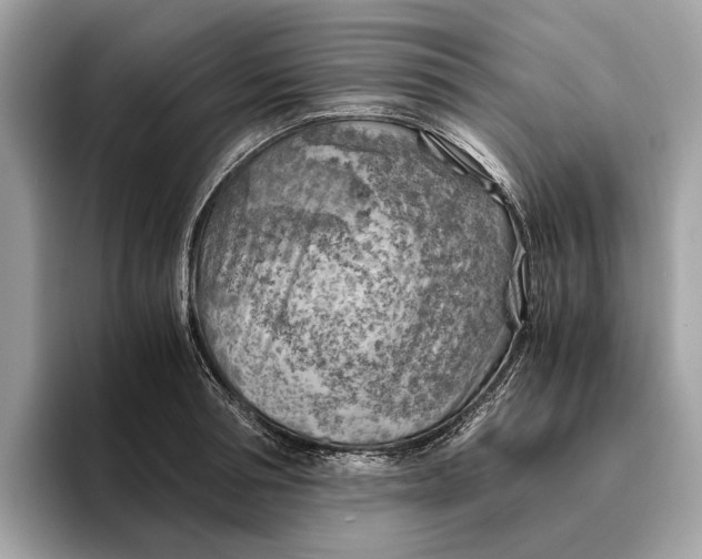 X0000096440994200802141448